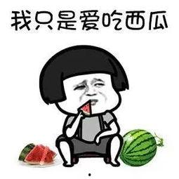 咸鱼女配娱乐圈吃瓜,吃瓜群众见证蜕变之路