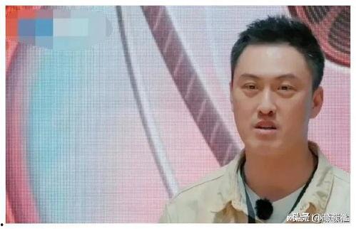 娱乐圈谁最吃瓜排行榜