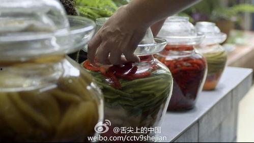 娱乐吃瓜酱杯子大军,揭秘杯子大军背后的神秘故事